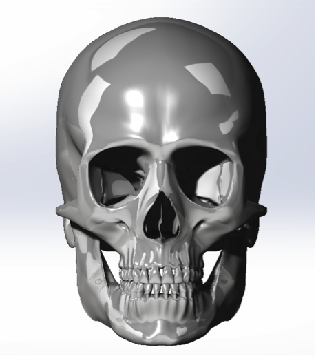 skull_model_1.png