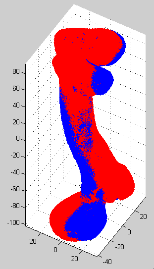 Superimposed meshes of the left femur (red) and the mirror image of the right femur (blue)