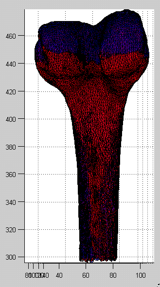 Superimposition of the mean right femur mesh (blue) and its first mode image (red)
