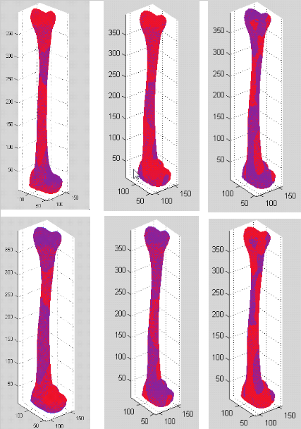 Superimpositions of the mean right tibia mesh (blue) and its first 3 mode images (red)