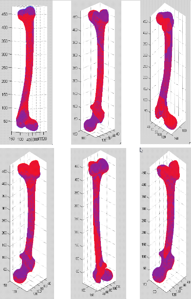 Superimpositions of the mean right femur mesh (blue) and its first 3 mode images (red)