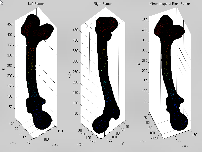 Mean meshes of the left and right femur, and the mirror image of the right femur mesh